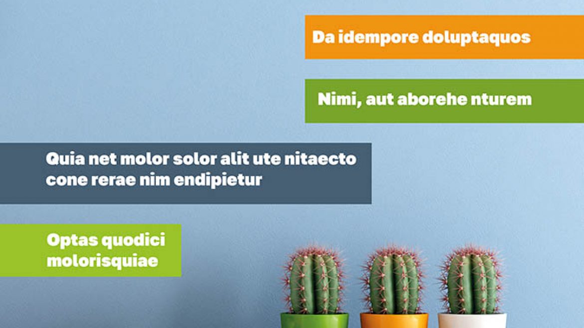 APARTAMENTŲ INTERJERO ŽURNALO APIPAVIDALINIMAS