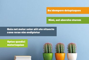 APARTAMENTŲ INTERJERO ŽURNALO APIPAVIDALINIMAS