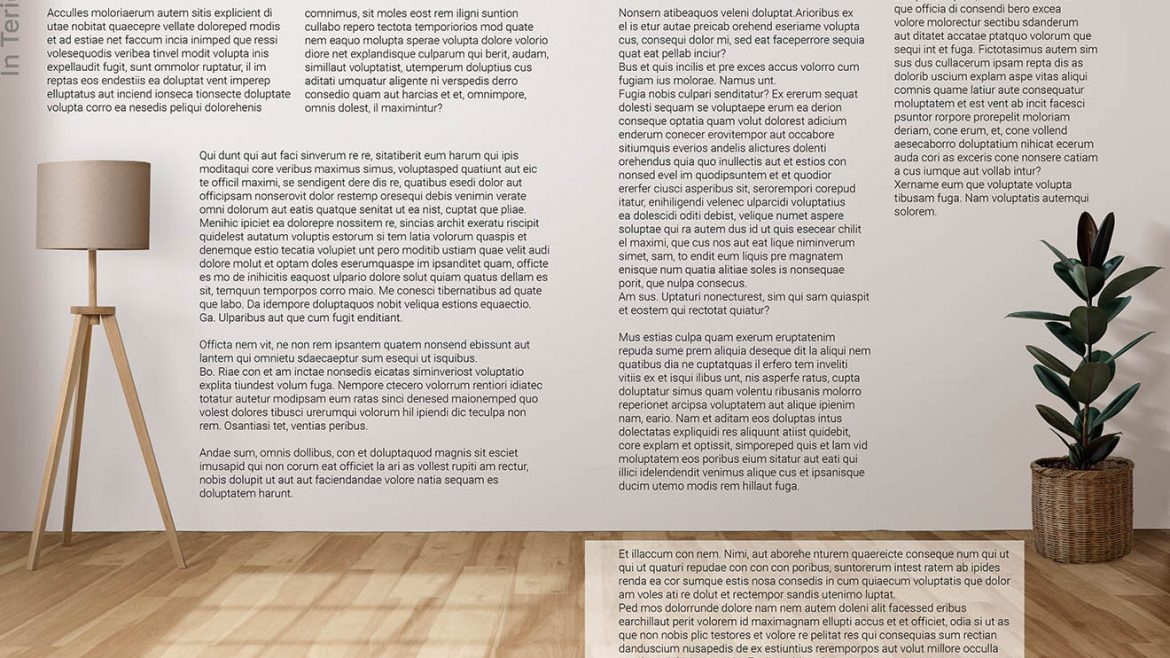 APARTAMENTŲ INTERJERO ŽURNALO APIPAVIDALINIMAS