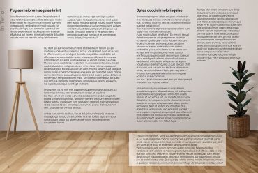 APARTAMENTŲ INTERJERO ŽURNALO APIPAVIDALINIMAS